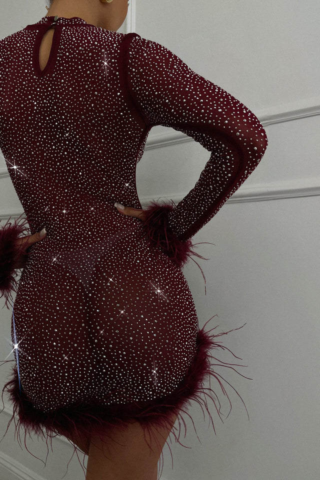 Load image into Gallery viewer, Your Dream Girl Embellished Mesh Mini Dress - Wine