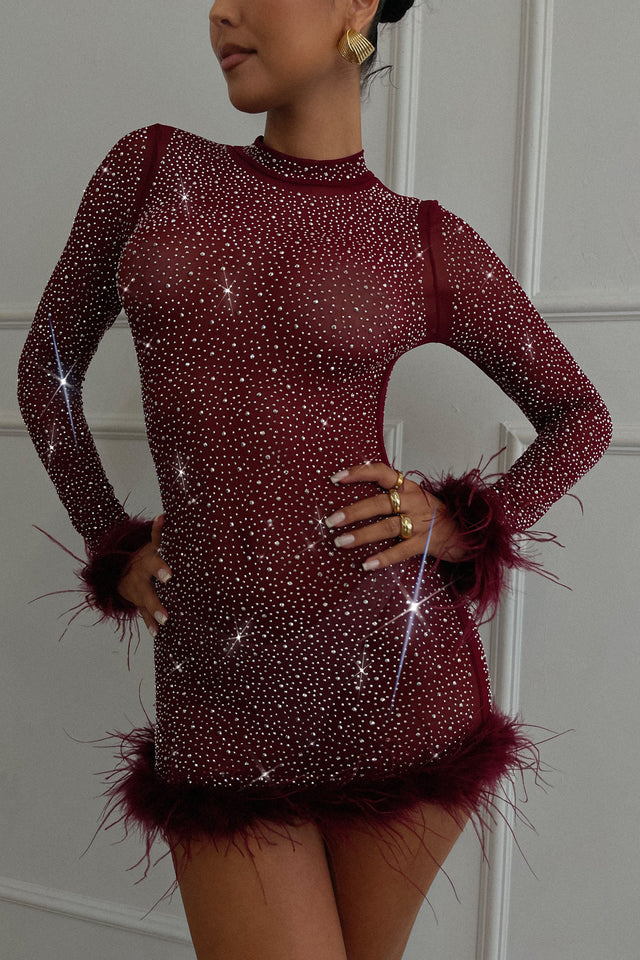 Load image into Gallery viewer, Embellished Mesh long sleeve Mini Dress - Wine