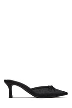 Load image into Gallery viewer, Abigail Mesh Pointed Toe Mule Pumps – Black