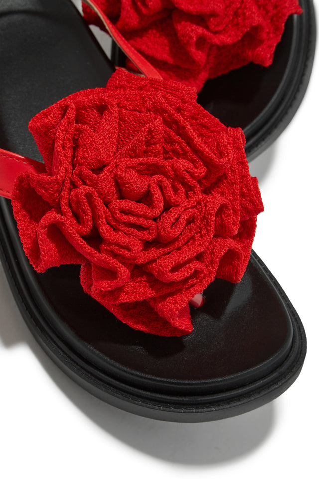 Load image into Gallery viewer, Red and Black Sandals