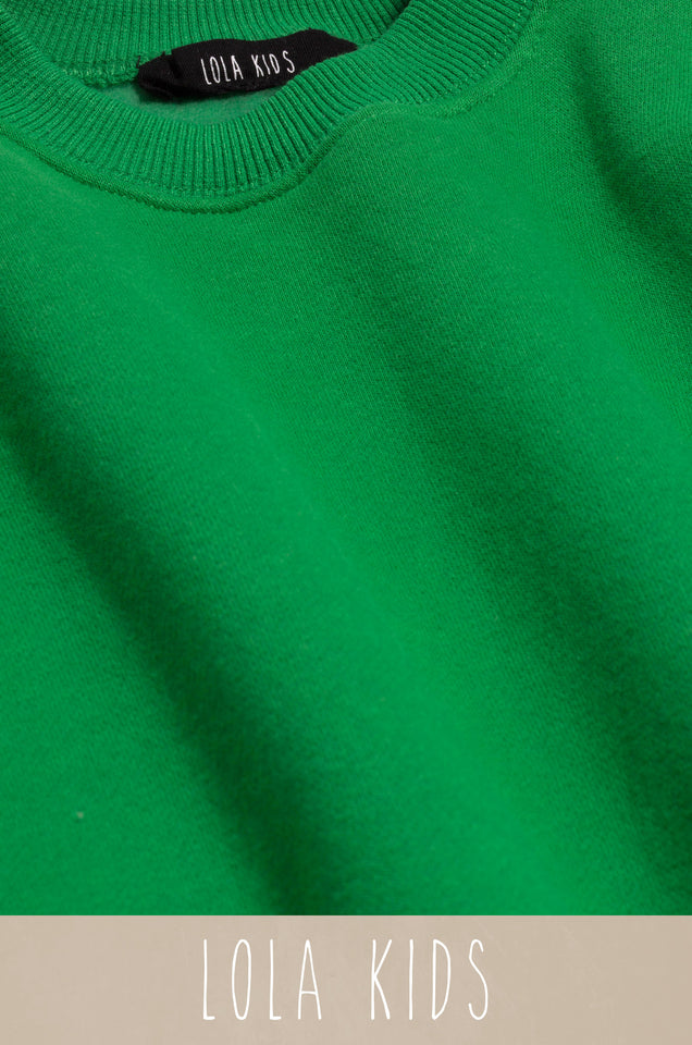 Load image into Gallery viewer, Mini Cozy Feels Kids Crewneck Sweater - Green
