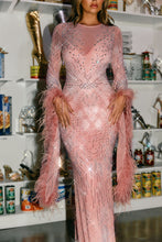 Load image into Gallery viewer, Mesh Embellished Gown Dress
