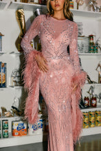 Load image into Gallery viewer, Mauve Feather Embellished Dress
