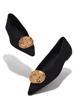 Load image into Gallery viewer, Nicole Pointed Toe Flats - Black
