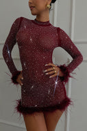 Embellished Mesh long sleeve Mini Dress - Wine