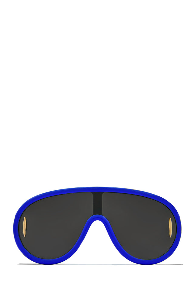 Load image into Gallery viewer, Blue Frame Sunnies
