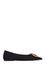Load image into Gallery viewer, Nicole Pointed Toe Flats - Black
