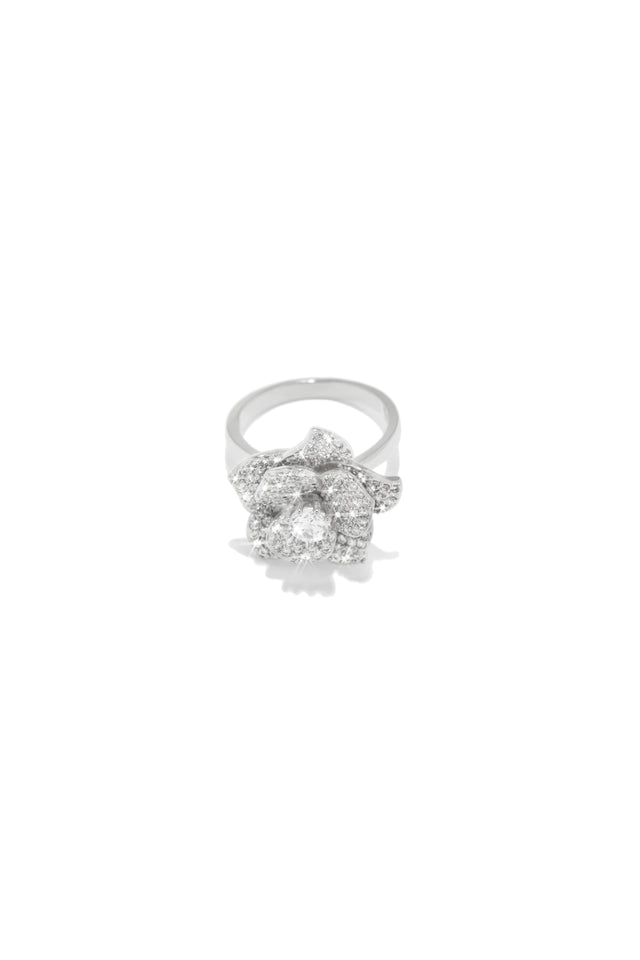 Load image into Gallery viewer, Silver Tone Ring

