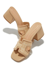 Load image into Gallery viewer, Roxanne Block Mid Heel Mules - Nude
