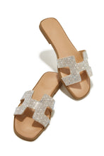 Load image into Gallery viewer, Embellished Silver and Nude Sandal
