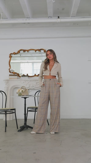 Plaid trouser pants on model video