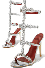 Load image into Gallery viewer, Expensive Taste - Silver
