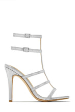 Load image into Gallery viewer, Luxury Essentials Caged Strap High Heels - Silver
