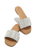 Load image into Gallery viewer, Silver Embellished Slip On Flat Sandals
