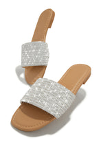 Load image into Gallery viewer, Silver Sandals

