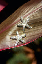 Load image into Gallery viewer, Embellished Star Earrings
