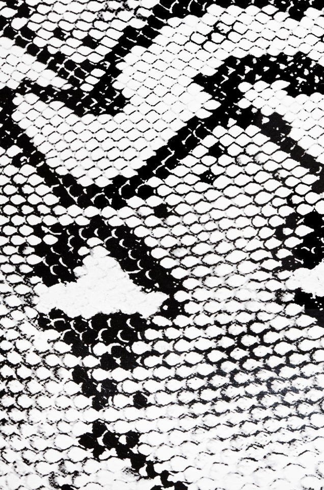 Load image into Gallery viewer, Big City Dreams - Snake

