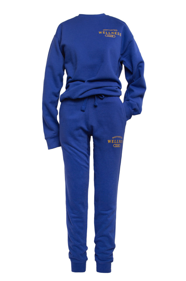 Load image into Gallery viewer, blue long sleeve crewneck 
