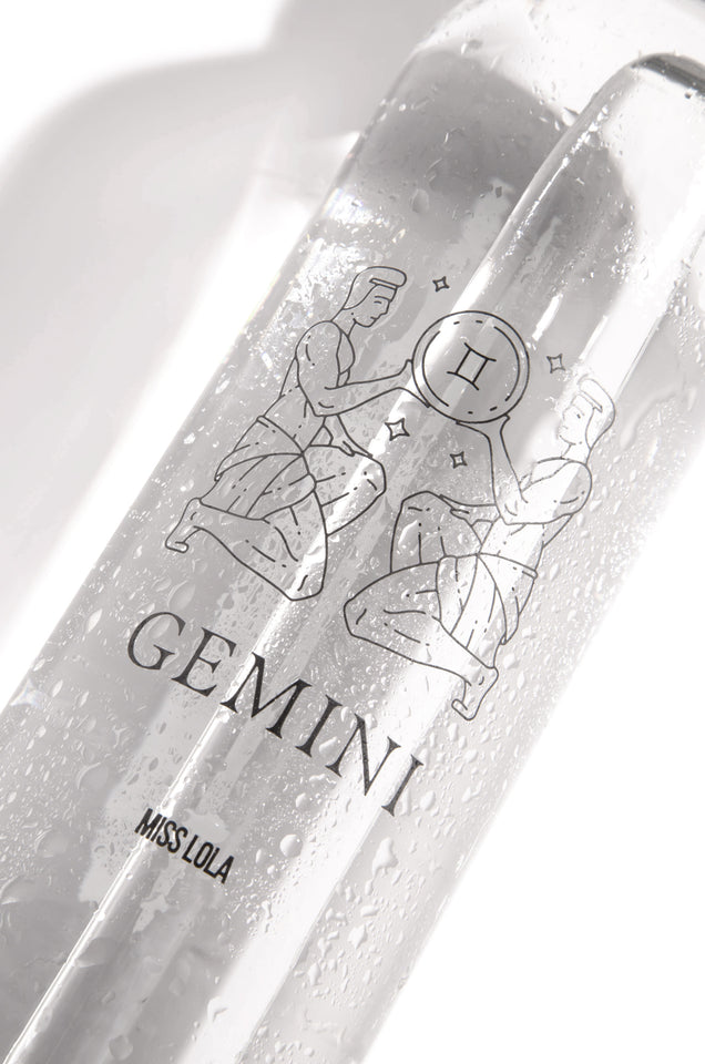 Gemini Horoscope Water Bottle, Home