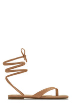 Load image into Gallery viewer, Nude Lace Up Sandals
