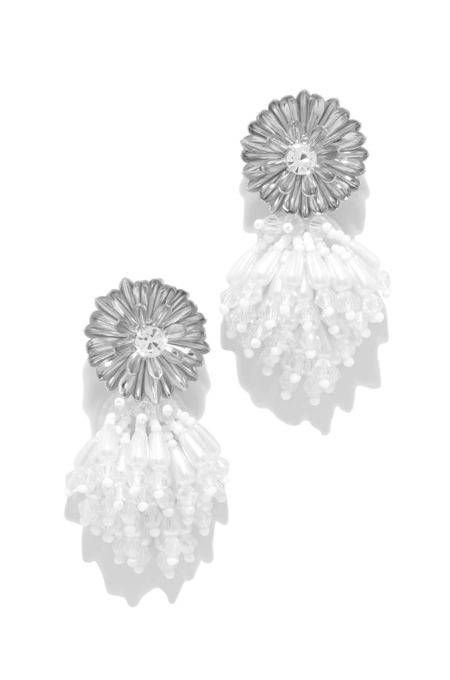 Load image into Gallery viewer, Silver Tone Earring 
