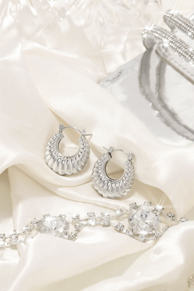 Load image into Gallery viewer, Silver Hoop Earrings 
